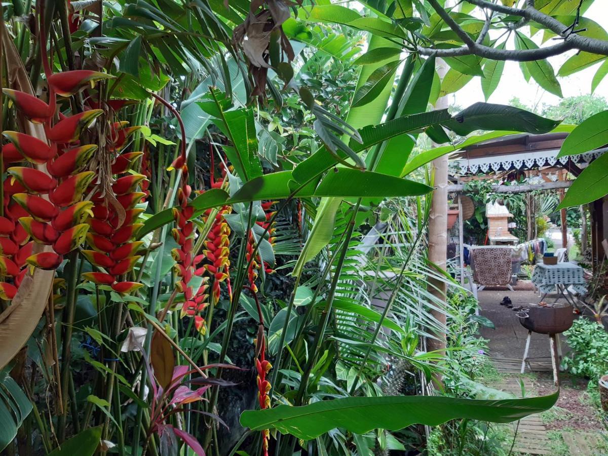 Apartamento Vien a Zot' Bras-Panon Exterior foto