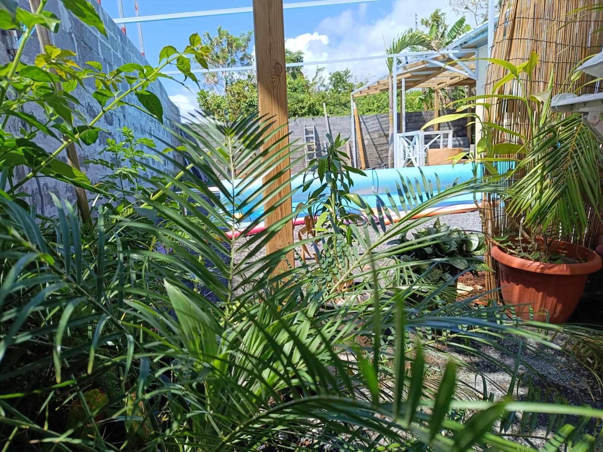 Apartamento Vien a Zot' Bras-Panon Exterior foto