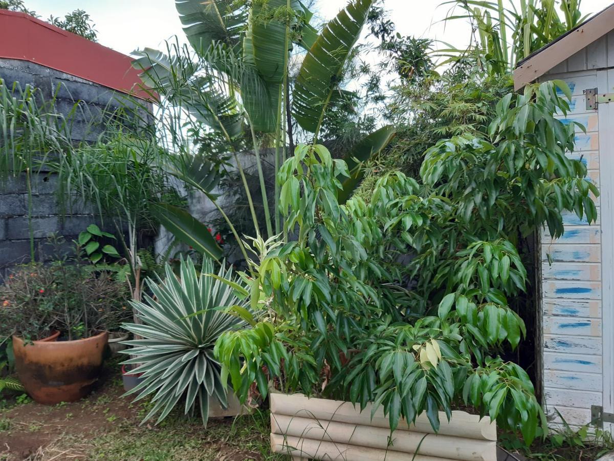 Apartamento Vien a Zot' Bras-Panon Exterior foto